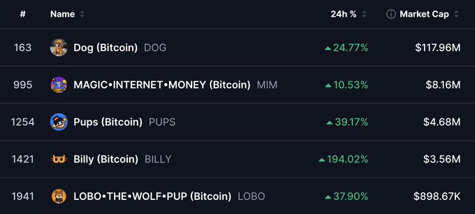 A cryptocurrency ranking list featuring Dog (Bitcoin) DOG, MAGIC•INTERNET•MONEY (Bitcoin) MIM, Pups (Bitcoin) PUPS, Billy (Bitcoin) BILLY, and LOBO•THE•WOLF•PUP (Bitcoin) LOBO, with all showing significant 24-hour gains.