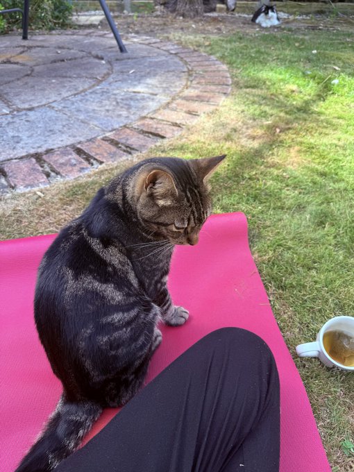 A tabby cat sitting on a pink yoga mat next to someone's leg, with a white coffee cup on the grass in a garden setting.