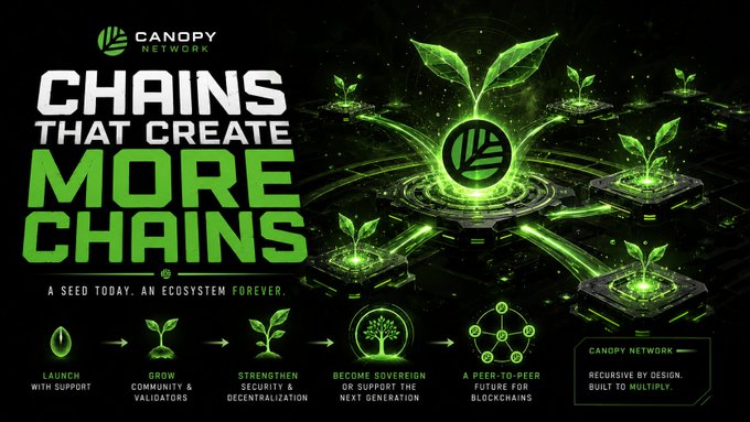 In this image, there is a poster that represents a company called "CNPY Network" and its vision. The poster displays an illustration of green plants interconnected by chains, which are symbols for networks or connections within society. One interesting detail about this post is that it has a focus on @CanopyNetwork rather than just discussing the content of the image directly. Additionally, there's a small description provided in the image that talks about how their vision goes beyond building one successful chain and expands to creating new chains using support from the Canopy ecosystem, growing communities, and validator sets.