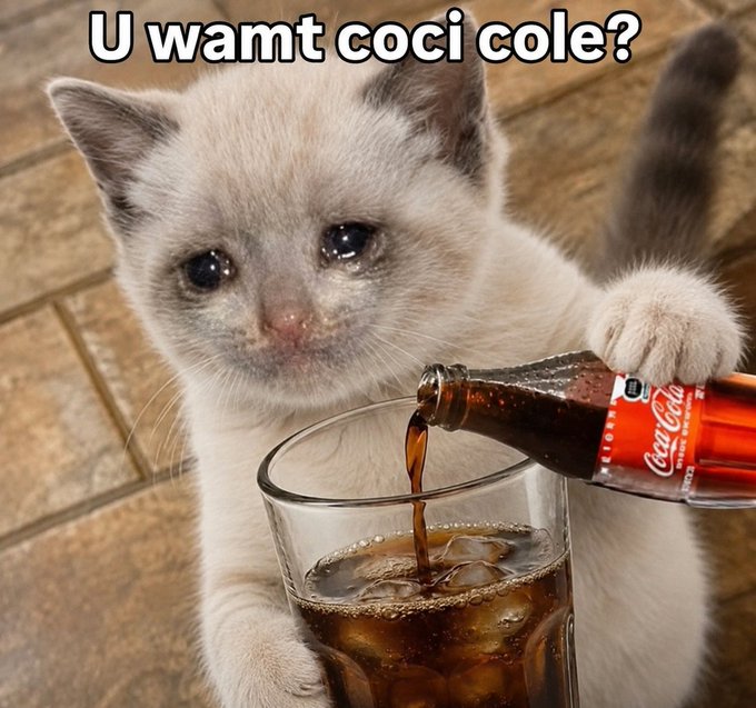 A sad-looking kitten appears to pour Coca-Cola into a glass, with Polish text reading 'U wamt coci cole?' (Do you want Coca-Cola?).