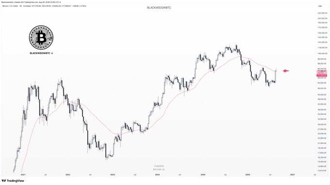 A TradingView chart of BTCUSD on TradingLights shows Bitcoin's price action from 2021 to present alongside its 50 EMA (pink line), highlighting how the moving average has regained bullish importance in 2025 as price trades above and around it near the $100,000 level.