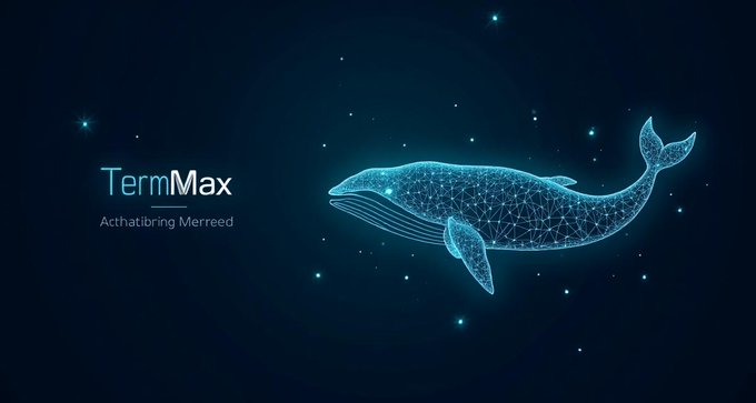 A digital graphic featuring a blue wireframe whale floating among stars, with the text "TermMax - Actthatibring Merreed" displayed on the left.