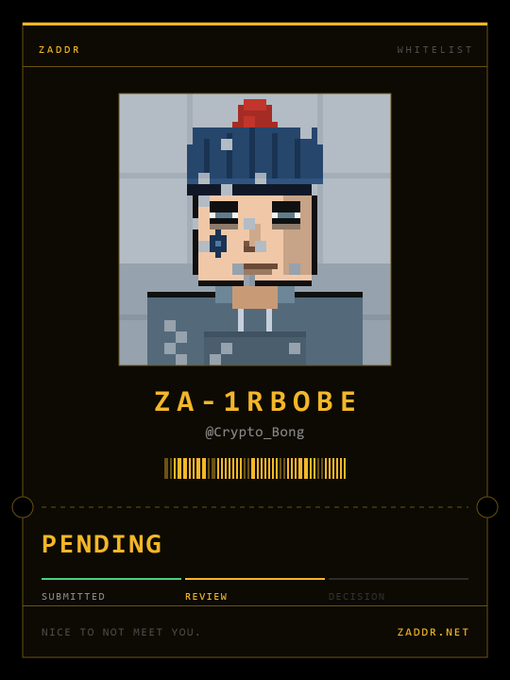 A 'ZADOR WHITELIST' card showing a pixelated NFT character named 'ZA-1RBOBE' (@Crypto_Bong) with a 'PENDING' status bar across submitted, review, and decision stages.