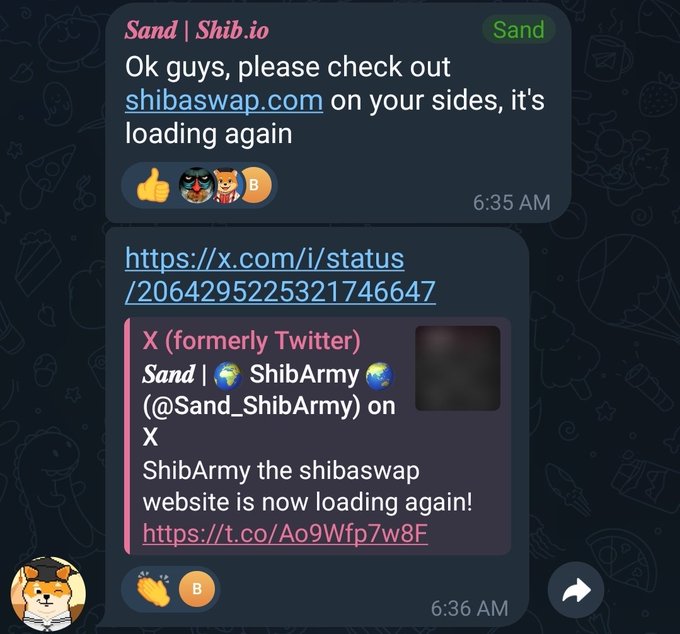 The image shows a screenshot of a text message conversation between two people, with one person typing out a message about a website called "S Shib.io". The other person responds by saying that the issue is not the website but rather the loading process. They both seem to be discussing the problem and trying to find a solution for it.