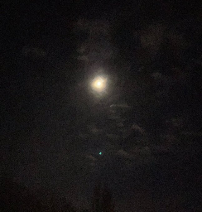 A bright moon shines through scattered clouds in the night sky, with a smaller pale dot (possibly a planet or distant light) visible below it above silhouetted treetops. The image evokes a quiet, hopeful atmosphere that complements the post's message about patience and long-term vision with tokens like $PIZZA and $CETS, suggesting that meaningful growth—like Rome—takes time to build under the moon.