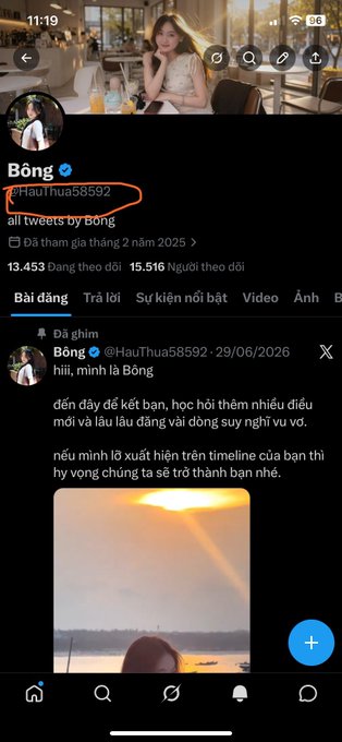 A Twitter/X profile page for user 'Bông' (@HauThua58592), showing 13,453 tweets and 15,516 followers, with a pinned tweet in Vietnamese about making friends.
