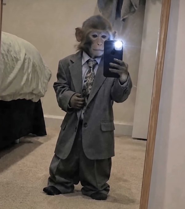 A humorous edited image of a monkey wearing an oversized gray suit and tie, taking a mirror selfie with a smartphone in a bedroom.