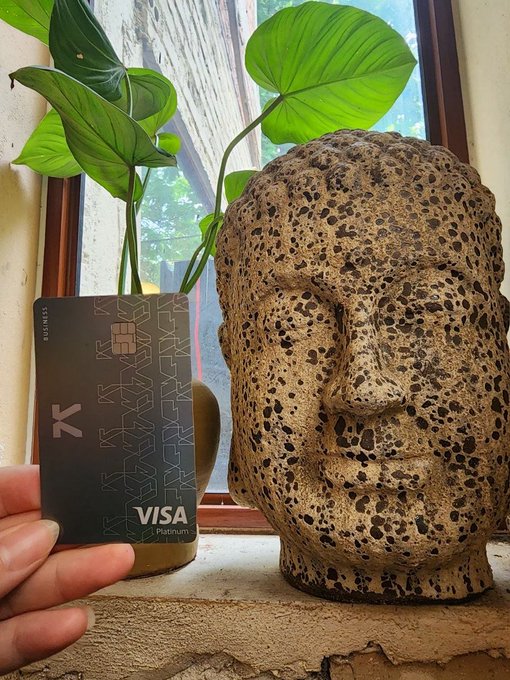 A hand holds a dark 'VISA Platinum' business card next to a textured stone Buddha head sculpture and green potted plant leaves by a window.