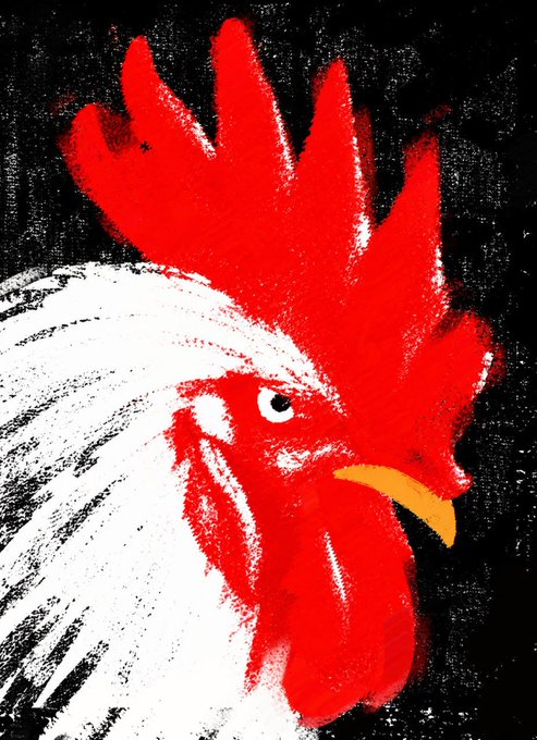 A stylized, high-contrast artwork of a rooster's head featuring a vibrant red comb and wattle, a white face, and a yellow beak against a black background.