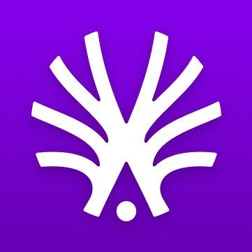 Purple logo featuring a stylized white tree-like symbol with branching lines and a small dot at the base.