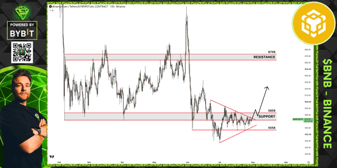 A presenter analyzes a BNB/Binance cryptocurrency chart showing price consolidation between support at $555 and $655, with resistance at $755 marked on the chart, illustrating a bullish deviation pattern following a descending triangle formation.