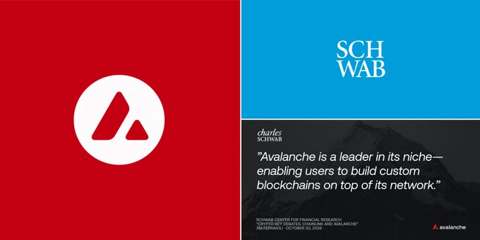 A red-and-blue Charles Schwab graphic includes the quote: “Avalanche is a leader in its niche—enabling users to build custom blockchains on top of its network.”