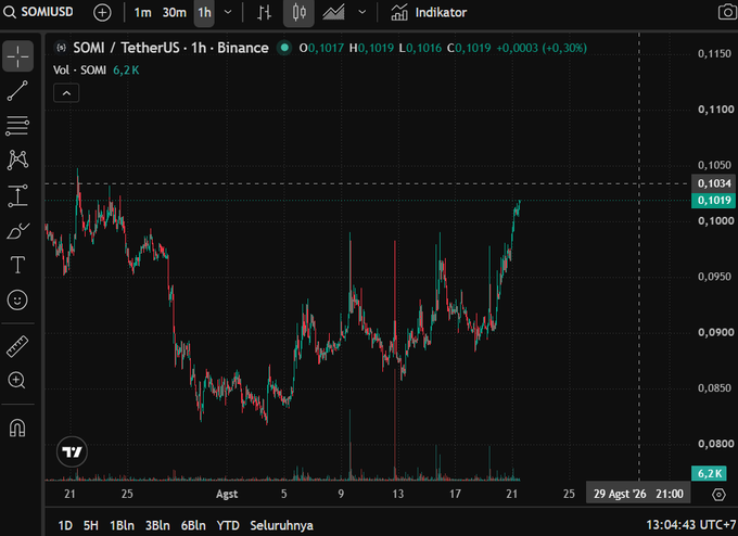 A TradingView chart showing the SOMI/USDT pair on Binance, with the current price at 0.1019 and a 0.30% increase. The 1-hour candlestick chart displays price fluctuations between 0.08 and 0.115.