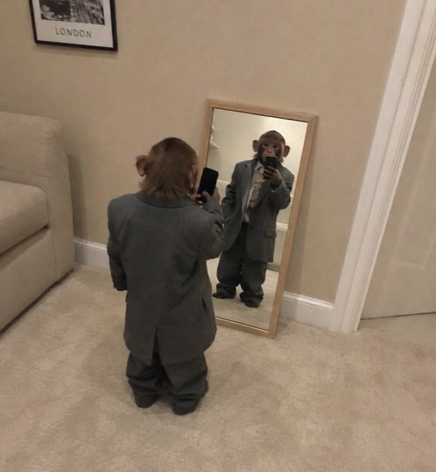 A small monkey wearing a grey suit takes a mirror selfie with a smartphone in a room, with a framed 'LONDON' print visible on the wall in the background.