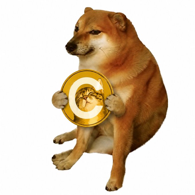 This image depicts a dog in the pose of a cat during a sitting meme. The post relates to this image as it speaks of crypto currency. This post is an advertisement for crypto currency that are represented as cats.