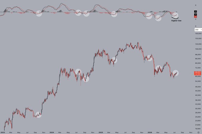 A financial chart displaying Bitcoin (BTC/USD) price action from 2023 through 2026, with the current price highlighted at $65,569. The image features an oscillator panel at the top marking recent "higher low" signals, supporting the post's observation about a rare bullish MACD cross below the zero line that has historically preceded powerful upward moves in Bitcoin.