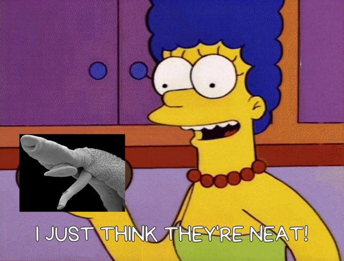 The image features a cartoon character, likely from the TV show "The Simpsons", holding up a fake dinosaur head with its tongue sticking out. The caption below the image reads "Just think they're neat!". This suggests that the image is related to an advertisement or promotion for a product or service involving AI and payments.