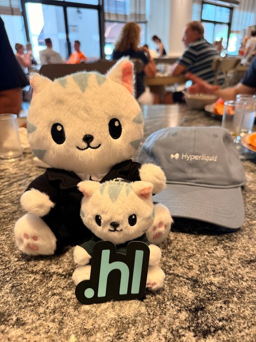 Two plush cat toys, one larger and one smaller, sit on a granite table next to a light blue "Hyperliquid" cap, with the smaller cat holding a ".h" sign—appearing as Hypurr and his son ready for day 2 of Singapore as mentioned in the caption. The scene shows them at what looks like a casual dining or networking venue during the event.