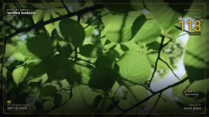 A screenshot with an overlay showing green leaves, labeled 'PROOF OF GRASS verified outdoors,' 'DAY 113 IMMORTAL+,' 'TOP 1% GRASS TOUCHERS,' 'CERTIFIED BY touch grass,' and 'NEXT OF GRASS VERIFICATION SEP 13, 2026.'