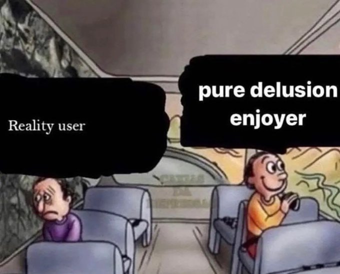 The image shows two cartoon men sitting next to each other, with one man driving a bus while the other sits in the passenger seat. Below the image, there are three lines of text that read "pure delusion user", "reality user", and "enjoyer". These descriptions seem unrelated to the image itself but could be part of an explanation or context for the cartoon.