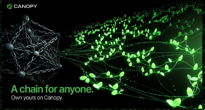A promotional banner for Canopy blockchain with green leaves growing from a network diagram, featuring the text 'A chain for anyone. Own yours on Canopy.'