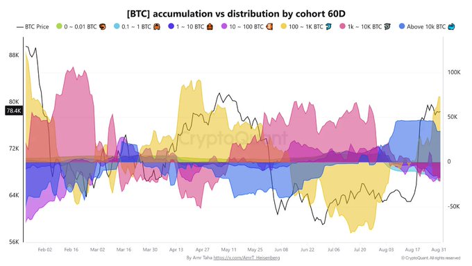 Chart titled '[BTC] accumulation vs distribution by cohort 60D' showing Bitcoin price ($78.4K) and various wallet cohort holdings from Feb to Aug, by CryptoQuant.