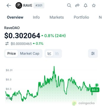 A CoinGecko page showing the RaveDAO (RAVE) token at $0.302064, down 0.8% over 24 hours, with a price chart.