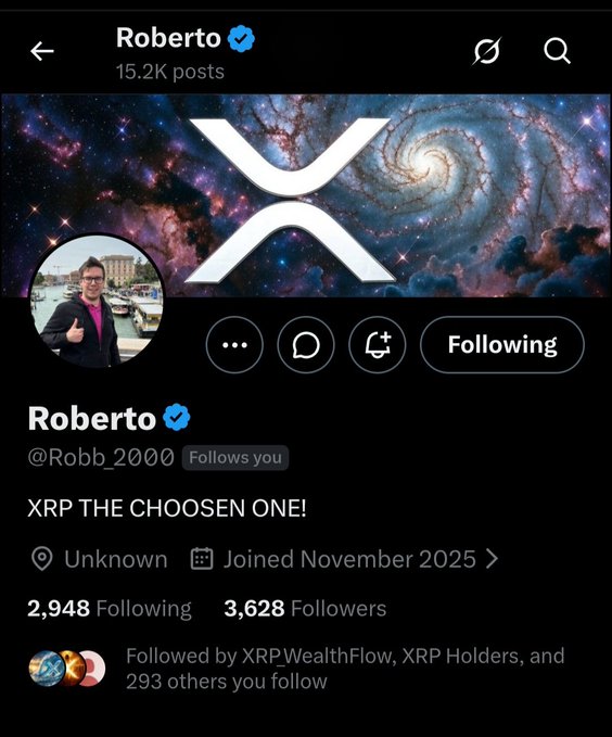 This image shows a Twitter/X profile page for "Roberto" (@Robb_2000), a verified account with 15.2K posts, 2,948 following, and 3,628 followers, featuring the tagline "XRP THE CHOOSEN ONE!" against a cosmic XRP banner. The accompanying post is giving a shoutout to Roberto as a "true XRP HODL" and asking others to follow him, which aligns with his XRP-themed profile branding.