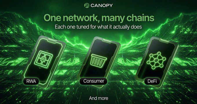 Canopy promotional graphic titled 'One network, many chains' displaying three phones labeled RWA, Consumer, and DeFi against a green wave background.
