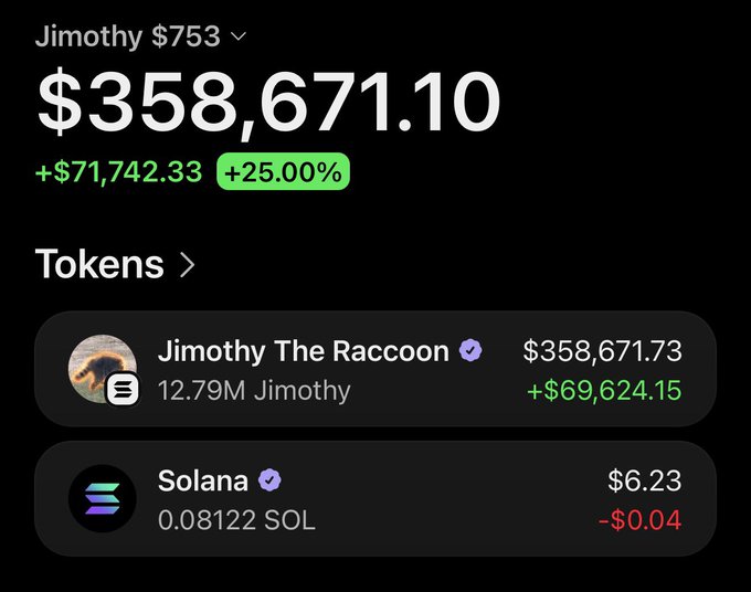 The image shows a crypto portfolio displaying "Jimothy $753" as the top token, with a total balance of $358,671.10 showing a 25% gain (+$71,742.33), despite the post noting the holder is down $200k overnight. The main holding shown is 12.79M Jimothy The Raccoon tokens (also down $69,624.15) plus a small amount of Solana.