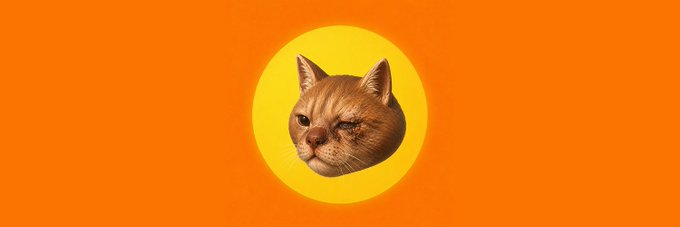 Profile picture of an orange tabby cat with one eye closed, set within a yellow circle on an orange background.