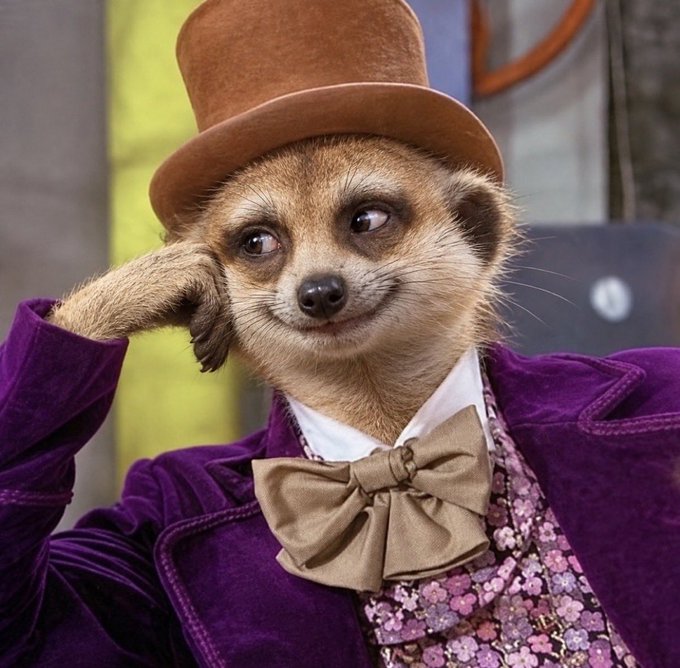 A meerkat is digitally dressed in a purple velvet coat, floral waistcoat, tan bow tie, and a brown top hat, posing with its paw near its face in a dapper, anthropomorphic style.