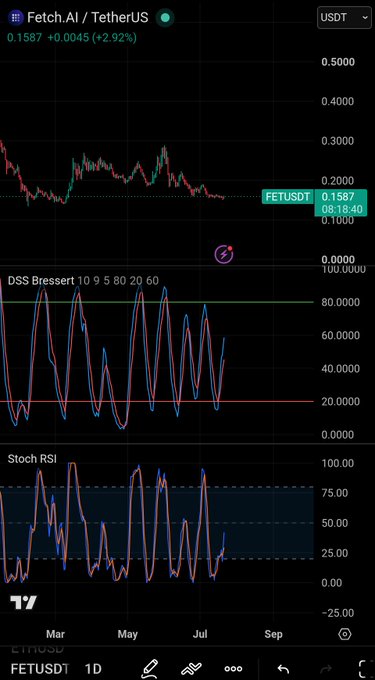A TradingView chart displaying Fetch.AI / TetherUS (FETUSDT) at 0.1587 (+2.92%), with DSS Bressert and Stochastic RSI indicators below the price chart.