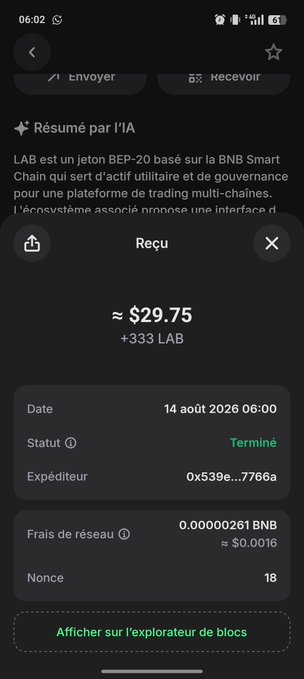 A cryptocurrency transaction receipt showing a received amount of ~$29.75 (+333 LAB tokens), completed on 14 août 2026, with a gas fee of 0.00000261 BNB (~$0.0016).
