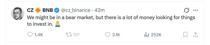 A screenshot of a tweet by CZ (Changpeng Zhao) of @cz_binance, which reads: "We might be in a bear market, but there is a lot of money looking for things to invest in 🙋," accompanied by a praying emoji. The tweet has 1.4K replies, 517 retweets, 3.1K likes, and 252K views, and is being used to criticize CZ, with the Turkish poster urging him to leave the crypto market and stop harming investors.