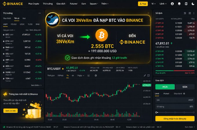 A Binance cryptocurrency trading interface in Vietnamese showing a notification that a whale (Ví cá voi 3NVeXm) deposited 2.555 BTC (~$197,000,000 USD) into the exchange, with BTC/USDT trading at $67,892.01.