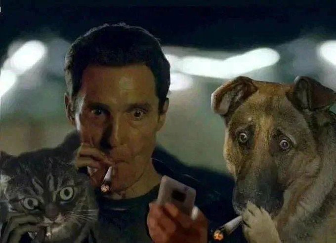 An edited image showing actor Christian Bale from the film American Psycho with two cats—a tabby cat and a dog—appearing as if they are holding cigarettes and a phone.