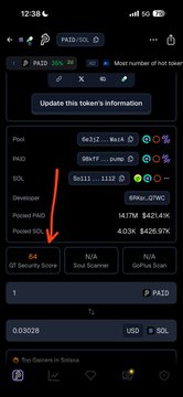 A mobile screenshot of the GT (GT Protocol) token page showing "Update this token's information" and a "Top Gainer in Solana" badge, with developer data displaying a 12.50% multiplier on 16,111 holdings and a 4.03K (-$28.97%) change in "Pooed SOL." The image supports the post's take by visually providing the developer and holder metrics used to inform the trade decision.