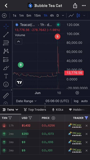 A trading chart for the token "Teacat" (Bubble Tea Cat) on DEX Screener showing a price of 13,776.56 down -1.98% with notable sell volume spikes and recent transactions dominated by trader TMCpqv.