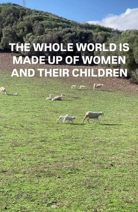 A grassy hillside pasture with sheep grazing and resting, backed by dense green trees and a partly cloudy blue sky. Overlaid white text reads: "THE WHOLE WORLD IS MADE UP OF WOMEN AND THEIR CHILDREN."