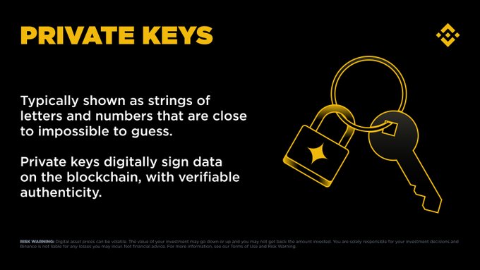 A graphic titled "PRIVATE KEYS" explains that these cryptographic keys appear as nearly impossible-to-guess strings of letters and numbers, and are used to digitally sign blockchain data with verifiable authenticity. The illustration features a gold padlock and key on a black background, visually symbolizing security and ownership. This supports the post's message that private keys are fundamental to crypto security, enabling users to verify ownership and authorize transactions, thereby protecting access to digital assets and ensuring only the rightful owner can approve actions. A Binance disclaimer at the bottom reminds viewers that capital carries risk and they are solely responsible for their investment decisions.