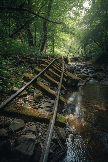 An abandoned, moss-covered railroad track collapses into a rocky stream in a dense forest. The deteriorating tracks serve as a visual metaphor for the post's joke, humorously suggesting that a crypto-based retirement plan is just as off the rails and decaying as the broken railway.