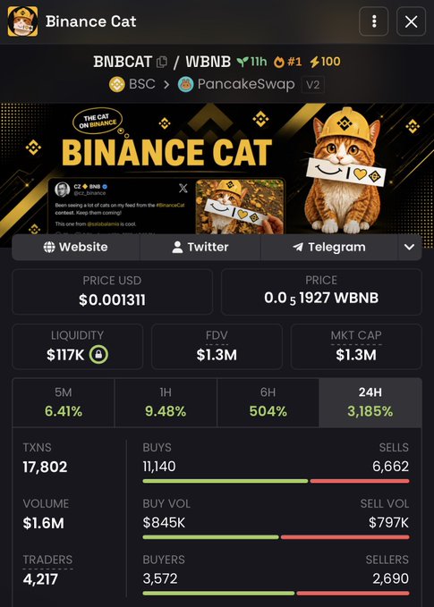 A screenshot of the Binance Cat ($BNBCAT) token page on BSC via PancakeSwap V2, showing a price of $0.001311, a $1.3M market cap, $1.6M in 24H volume, and a notable 3,185% gain over 24 hours, supporting the post's claim of purchasing the token amid its recent surge.