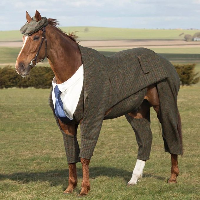 A surreal, digitally edited image of a brown horse wearing a tweed flat cap and a matching tweed coat over a white shirt and blue tie, standing in a green field.