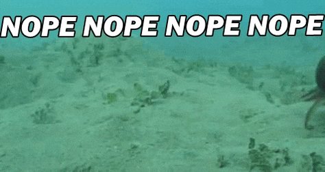 None