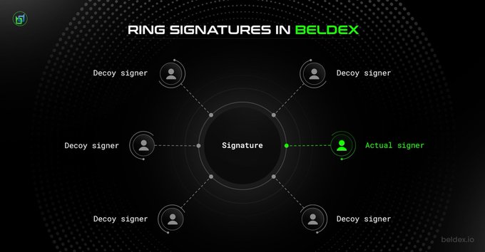 The image illustrates "Ring Signatures in Beldex," showing a central signature connected to multiple "Decoy signers" and one "Actual signer," visually explaining how the Beldex blockchain (beldex.io) obscures the true sender's identity while still validating transactions. This directly supports the post's message that Beldex uses ring signatures to separate transaction verification from sender identification, enhancing privacy by making it impossible to distinguish the real signer from the decoys.
