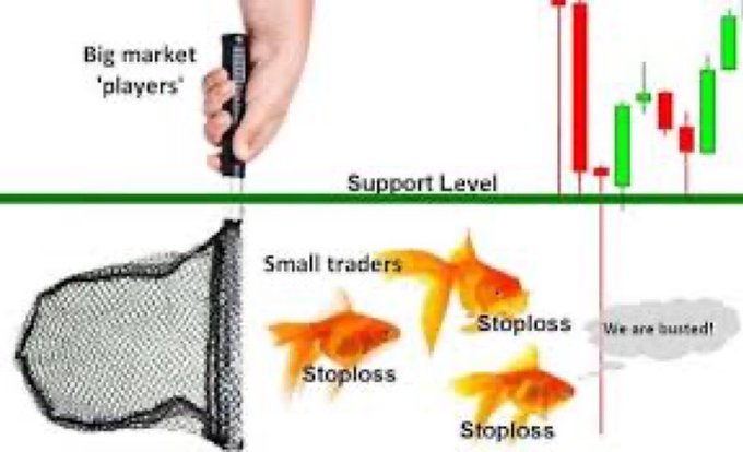 The image features a goldfish swimming through a net designed like a fishing net or fishing pole, with "Big market players" at its top and "Small traders", indicating that this fish represents either a small trader (or an individual player) trying to catch big fish represented by the "Big market players". The fish is depicted in a way that emphasizes its struggle against these larger animals.