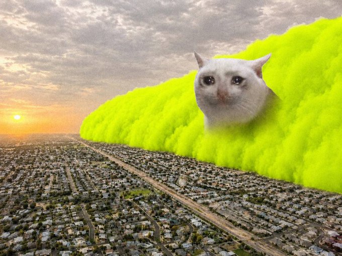 A surreal digital artwork showing a giant white cat's face emerging from a massive green smoke cloud above a sprawling city landscape at sunset.