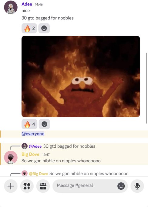 A Discord chat screenshot from the #general channel featuring a user named Adee saying '30 gtd bagged for noobles' alongside an Elmo-on-fire meme, followed by 'Big Dove' replying 'So we gon nibble on nipples whooooooo'.