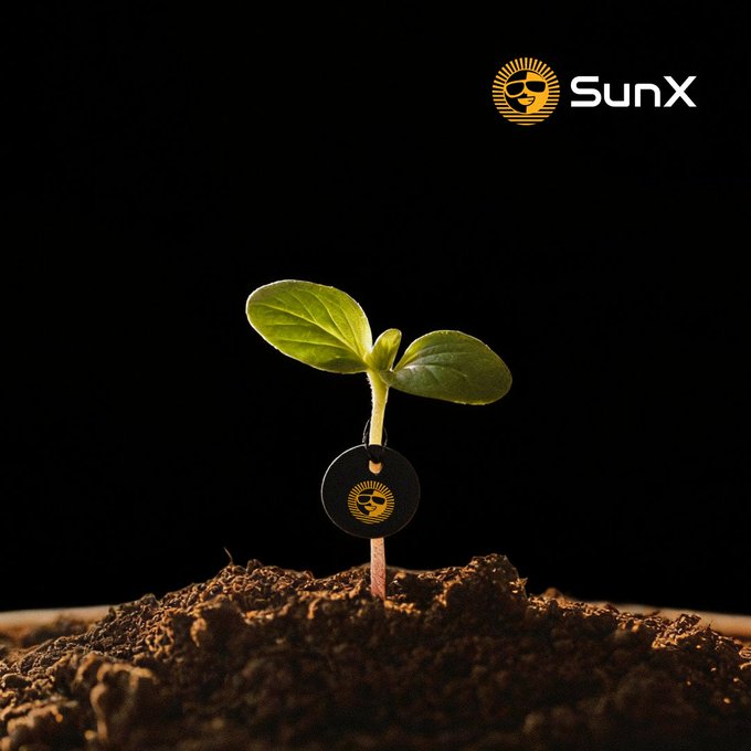 A close-up photo of a small green seedling sprouting from dark soil against a black background, with a 'SunX' logo (featuring a sunglasses-wearing sun) hanging on it and displayed in the top right corner.